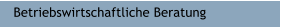 Betriebswirtschaftliche Beratung
