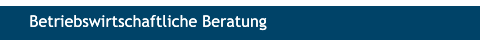 Betriebswirtschaftliche Beratung Betriebswirtschaftliche Beratung